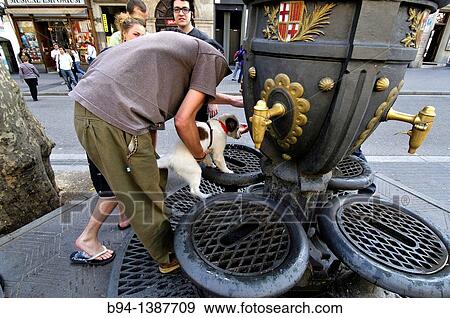 Stock Photo - Dog drinking water. Font de Canaletes, ornate fountain, crowned by a lamp post, in Rambla de Canaletes, the upper part of La Rambla, near Pla? a de Catalunya.. Fotosearch