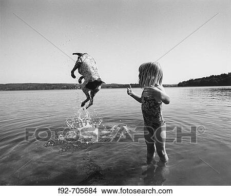 Dog jumping View Large Photo Image Picture - Dog jumping. Fotosearch