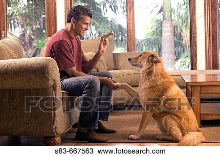 Dog sitting and shaking for a treat from man View Large Photo Image Stock Image - Dog sitting and shaking for a treat from man. Fotosearch