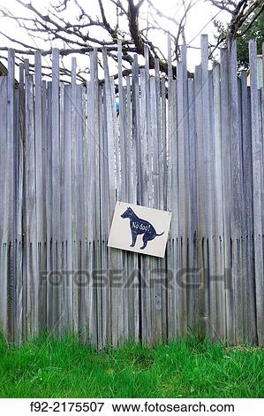 Dog. View Large Photo Image Stock Photo - Dog.. Fotosearch