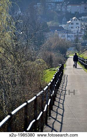 Dog walker on a footpath, Richterswil, Zurich, Switzerland View Large Photo Image Stock Image - Dog walker on a footpath, Richterswil, Zurich, Switzerland. Fotosearch