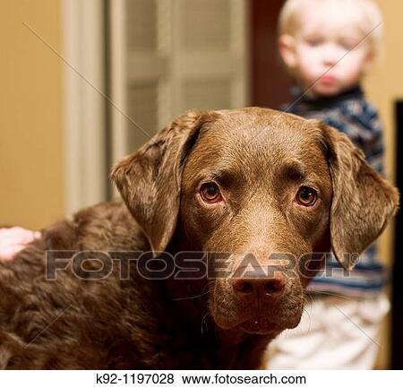 Dog with a child View Large Photo Image Stock Photo - Dog with a child. Fotosearch