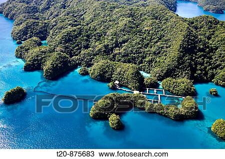 Stock Image - Dolphin Bay in Rock Islands, Micronesia, Palau. Fotosearch