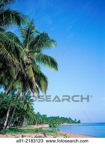 Stock Image - DOMENICAN REPUBLIC. LAS TERRANAS. EMPTY BEACH.. Fotosearch