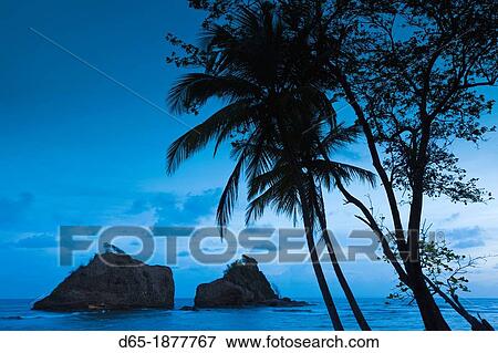 Stock Photo - Dominica, Calibishie, shore rocks, dawn. Fotosearch