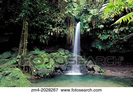 DOMINICA, RAINFOREST, EMERALD POOL WATERFALL. View Large Photo Image Stock Photo - DOMINICA, RAINFOREST, EMERALD POOL WATERFALL.. Fotosearch