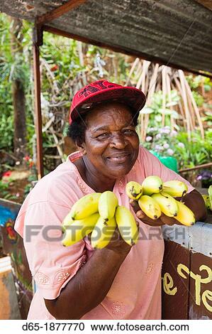Dominica, Salybia, craft shop owner, R, MR-DOM-12-001 View Large Photo Image Stock Image - Dominica, Salybia, craft shop owner, R, MR-DOM-12-001. Fotosearch