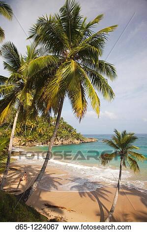 Dominican Republic, North Coast, Abreu, Playa Preciosa beach View Large Photo Image Stock Photo - Dominican Republic, North Coast, Abreu, Playa Preciosa beach. Fotosearch