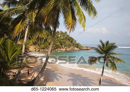 Dominican Republic, North Coast, Abreu, Playa Preciosa beach View Large Photo Image Stock Photography - Dominican Republic, North Coast, Abreu, Playa Preciosa beach. Fotosearch