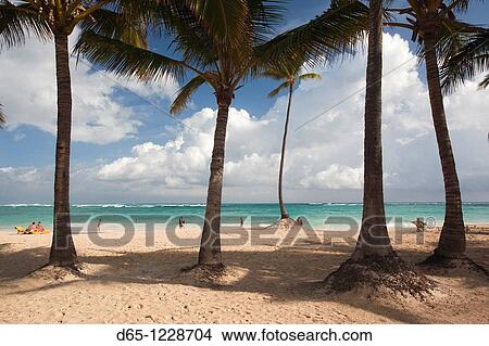 Dominican Republic, Punta Cana Region, Bavaro, Bavaro beach View Large Photo Image Picture - Dominican Republic, Punta Cana Region, Bavaro, Bavaro beach. Fotosearch