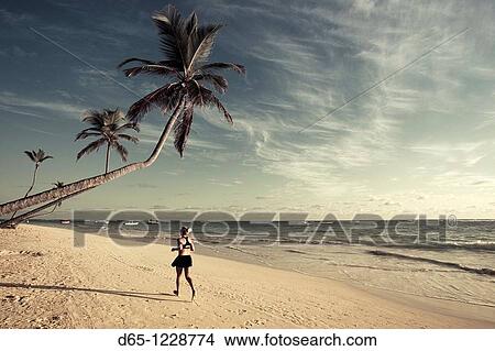 Dominican Republic, Punta Cana Region, Bavaro, Bavaro beach, palm View Large Photo Image Picture - Dominican Republic, Punta Cana Region, Bavaro, Bavaro beach, palm. Fotosearch