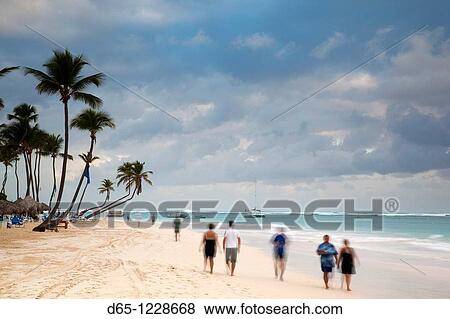 Dominican Republic, Punta Cana Region, Bavaro, Bavaro beach palms, dawn View Large Photo Image Stock Photo - Dominican Republic, Punta Cana Region, Bavaro, Bavaro beach palms, dawn. Fotosearch