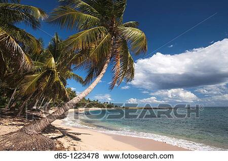 Dominican Republic, Samana Peninsula, El Frances, Playa El Frances beach View Large Photo Image Stock Photo - Dominican Republic, Samana Peninsula, El Frances, Playa El Frances beach. Fotosearch