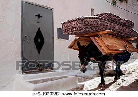 Donkey in the streets of Moulay Idriss. Morocco View Large Photo Image Stock Image - Donkey in the streets of Moulay Idriss. Morocco. Fotosearch
