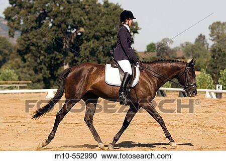 Stock Image - Donna Fraser riding Miss Demeanor at the Bear Valley Springs Dressage Show held on Sunday, July 23, 2006 in Tehachapi, California.. Fotosearch
