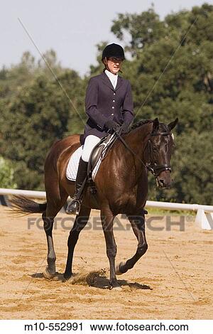 Donna Fraser riding Miss Demeanor at the Bear Valley Springs Dressage Show held on Sunday, July 23, 2006 in Tehachapi, California, USA. View Large Photo Image Stock Image - Donna Fraser riding Miss Demeanor at the Bear Valley Springs Dressage Show held on Sunday, July 23, 2006 in Tehachapi, California, USA.. Fotosearch