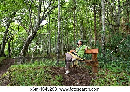 Stock Photo - Dooney Rock Forest Near Sligo city County Sligo Republic of Ireland. Fotosearch
