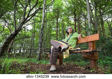 Stock Photo - Dooney Rock Forest Near Sligo city County Sligo Republic of Ireland. Fotosearch