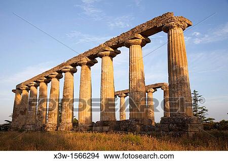 doric temple, sanctuary of hera, palatine tables, archaeological site of metaponto, bernalda, province of matera, basilicata, italy, europe View Large Photo Image Picture - doric temple, sanctuary of hera, palatine tables, archaeological site of metaponto, bernalda, province of matera, basilicata, italy, europe. Fotosearch