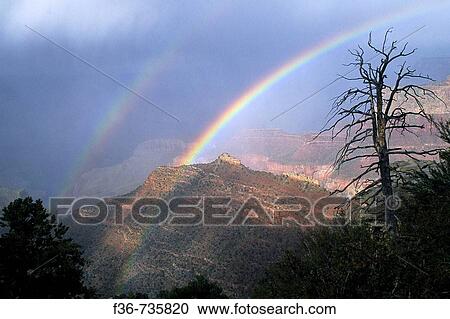 Double Rainbow over the Grand Canyon from Grandview Point, South Rim Grand Canyon National Park, Arizona, USA View Large Photo Image Stock Image - Double Rainbow over the Grand Canyon from Grandview Point, South Rim Grand Canyon National Park, Arizona, USA. Fotosearch