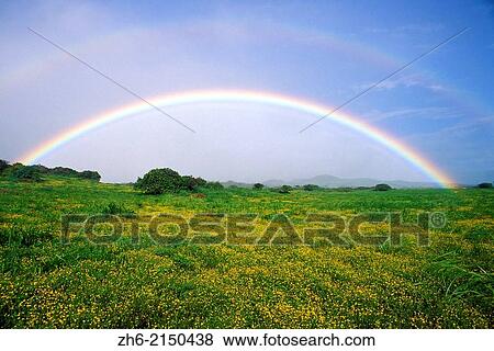 Stock Photo - Double rainbow over wildflowers in the Kohala Mountains, The Big Island, Hawaii USA.. Fotosearch