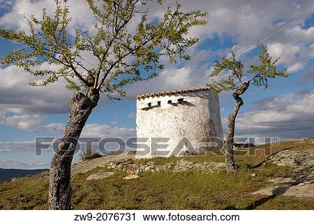 Dovecote and almond trees, Vilvestre, Arribes del Duero Natural Park, province of Salamanca, Castilla y Leon, Spain View Large Photo Image Stock Image - Dovecote and almond trees, Vilvestre, Arribes del Duero Natural Park, province of Salamanca, Castilla y Leon, Spain. Fotosearch