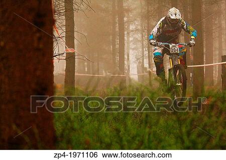 Downhill Mountain Biker Jack Reading racing through a misty forest in Sheffield. View Large Photo Image Stock Photograph - Downhill Mountain Biker Jack Reading racing through a misty forest in Sheffield.. Fotosearch