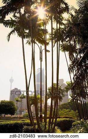 downtown. kuala lumpur. malaysia. View Large Photo Image Stock Image - downtown. kuala lumpur. malaysia.. Fotosearch