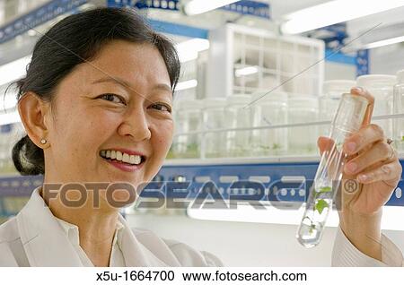 Stock Image - Dr Doreen Goh, Group Manager, YSG Biotech, Sabah Foundation Group, Kota Kinabalu, Sabah, Malaysia. Fotosearch