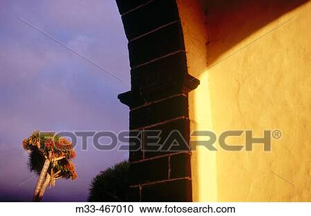 Drago tree. La Orotava. Tenerife. Canary Islands. Spain. View Large Photo Image Stock Image - Drago tree. La Orotava. Tenerife. Canary Islands. Spain.. Fotosearch