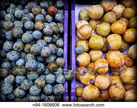 Drawers seasonal fruit exposed for sale in the Central Market. View Large Photo Image Stock Photograph - Drawers seasonal fruit exposed for sale in the Central Market.. Fotosearch