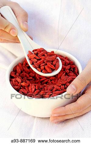 Dried berries of goji (Lycium barbarum) View Large Photo Image Stock Photo - Dried berries of goji (Lycium barbarum). Fotosearch