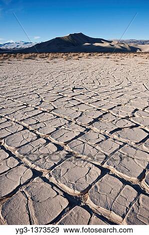 Dried mud flats with Eureka dunes in distance, Death Valley national park, California View Large Photo Image Stock Photo - Dried mud flats with Eureka dunes in distance, Death Valley national park, California. Fotosearch