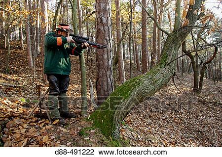 Driven game hunting. Vosges. Lorraine. France. View Large Photo Image Stock Image - Driven game hunting. Vosges. Lorraine. France.. Fotosearch