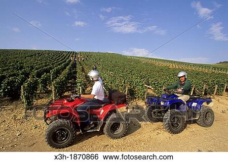 driving an ATV in the Champagne vineyard of the Cote des Bars, Aube department, Champagne-Ardenne region, France, Europe View Large Photo Image Stock Photograph - driving an ATV in the Champagne vineyard of the Cote des Bars, Aube department, Champagne-Ardenne region, France, Europe. Fotosearch