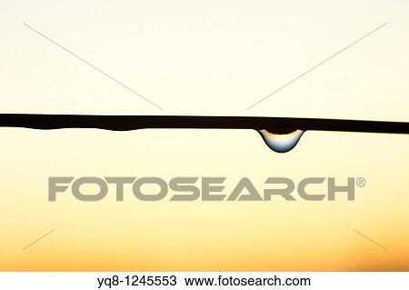 Stock Image - drop of water in sunset, talavera de la reina, spain. Fotosearch
