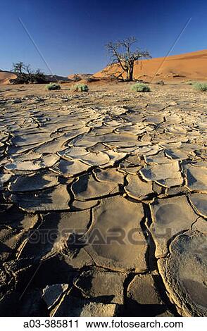 Stock Image - Drought in Africa, Namib Desert, Namibia. Fotosearch