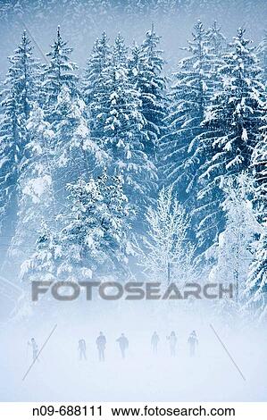 Druogno. Val Vigezzo, Val d? Ossola, Piedmont, Italy View Large Photo Image Stock Image - Druogno. Val Vigezzo, Val d? Ossola, Piedmont, Italy. Fotosearch