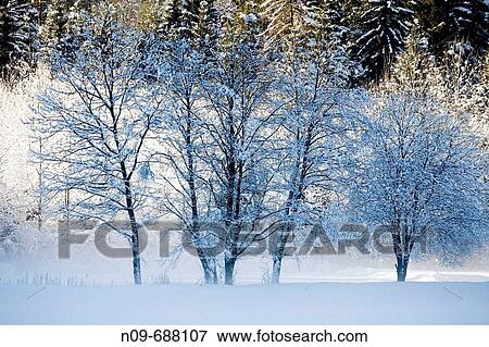 Druogno. Val Vigezzo, Val d? Ossola, Piedmont, Italy View Large Photo Image Stock Photo - Druogno. Val Vigezzo, Val d? Ossola, Piedmont, Italy. Fotosearch