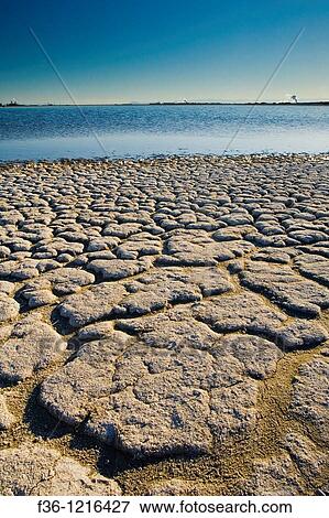 Dry cracked soil along the shoreline of the Salton Sea, Imperial Valley, California View Large Photo Image Stock Photo - Dry cracked soil along the shoreline of the Salton Sea, Imperial Valley, California. Fotosearch