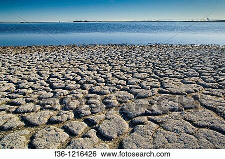 Dry cracked soil along the shoreline of the Salton Sea, Imperial Valley, California View Large Photo Image Stock Photograph - Dry cracked soil along the shoreline of the Salton Sea, Imperial Valley, California. Fotosearch