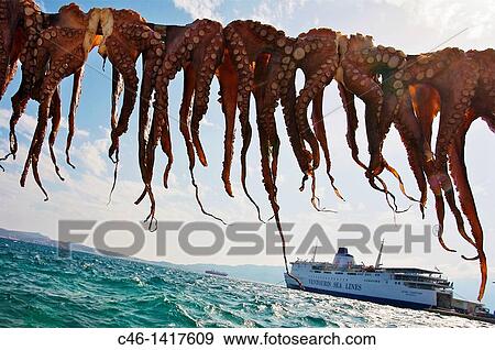 Stock Photo - Drying octopuses, Adamas village, Milos, Cyclades Islands Greece. Fotosearch
