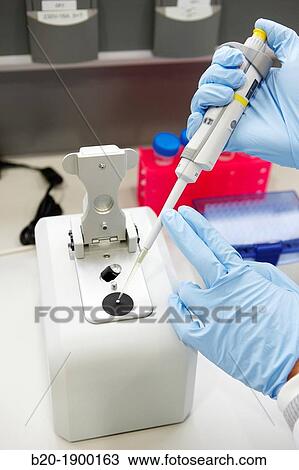 Dual-mode UV-Vis Spectrophotometer Thermo Fisher Scientific NanoDrop 2000c Nanomaterials laboratory CIC nanoGUNE, Nano science Cooperative Research Center, San Sebastian, Gipuzkoa, Euskadi, Spain View Large Photo Image Stock Image - Dual-mode UV-Vis Spectrophotometer Thermo Fisher Scientific NanoDrop 2000c Nanomaterials laboratory CIC nanoGUNE, Nano science Cooperative Research Center, San Sebastian, Gipuzkoa, Euskadi, Spain. Fotosearch