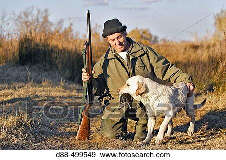 Duck hunting. Labrador brings a common moorhen. Saintes-Maries-de-la-Mer. Bouches du Rhone. France. View Large Photo Image Stock Photo - Duck hunting. Labrador brings a common moorhen. Saintes-Maries-de-la-Mer. Bouches du Rhone. France.. Fotosearch