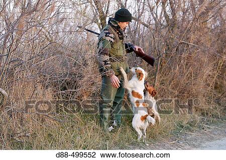 Duck hunting. Saintes-Maries-de-la-Mer. Bouches du Rhone. France. View Large Photo Image Stock Image - Duck hunting. Saintes-Maries-de-la-Mer. Bouches du Rhone. France.. Fotosearch