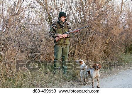 Duck hunting. Saintes-Maries-de-la-Mer. Bouches du Rhone. France. View Large Photo Image Stock Image - Duck hunting. Saintes-Maries-de-la-Mer. Bouches du Rhone. France.. Fotosearch