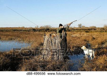 Duck hunting. Saintes-Maries-de-la-Mer. Bouches du Rhone. France. View Large Photo Image Stock Photograph - Duck hunting. Saintes-Maries-de-la-Mer. Bouches du Rhone. France.. Fotosearch