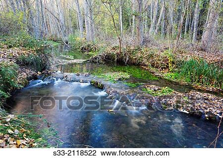 Dulce river in Aragosa. Guadalajara. Castilla la Mancha. Spain. View Large Photo Image Stock Image - Dulce river in Aragosa. Guadalajara. Castilla la Mancha. Spain.. Fotosearch