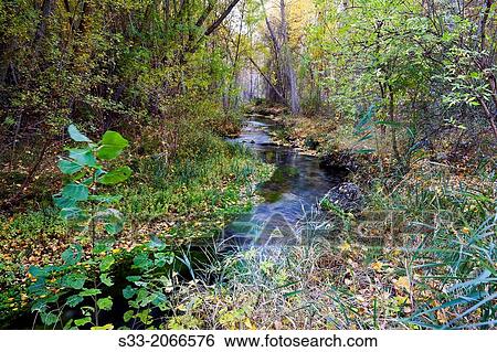 Stock Photograph - Dulce river in Aragosa. Guadalajara. Castilla la Mancha. Spain.. Fotosearch