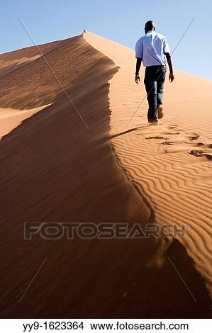 Picture - Dune 45 - Sossusvlei National Park - Namib-Naukluft National Park, Namibia, Africa. Fotosearch